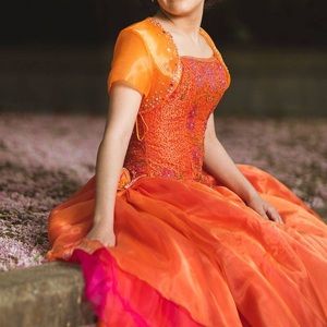 Gorgeous Quinceañero Dress